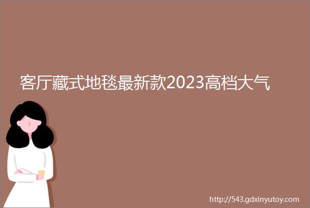 客厅藏式地毯最新款2023高档大气