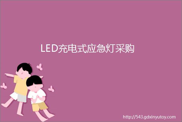 LED充电式应急灯采购