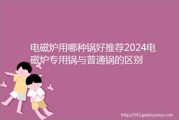 电磁炉用哪种锅好推荐2024电磁炉专用锅与普通锅的区别