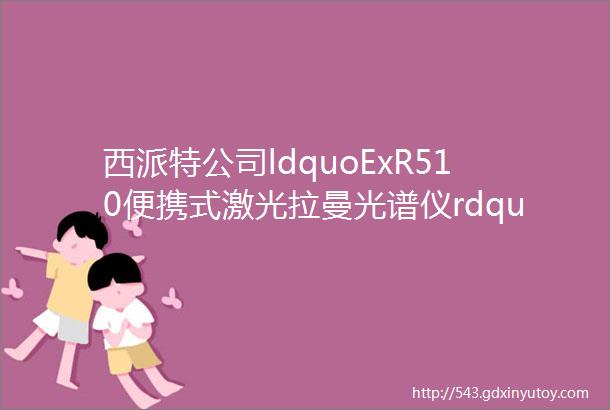 西派特公司ldquoExR510便携式激光拉曼光谱仪rdquo产品鉴定会