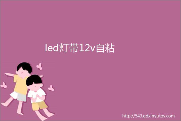 led灯带12v自粘