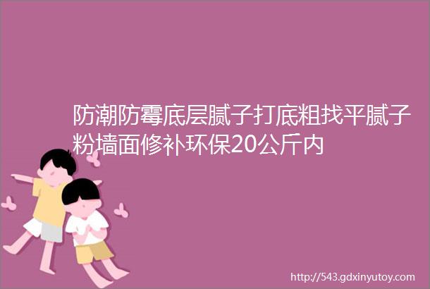 防潮防霉底层腻子打底粗找平腻子粉墙面修补环保20公斤内