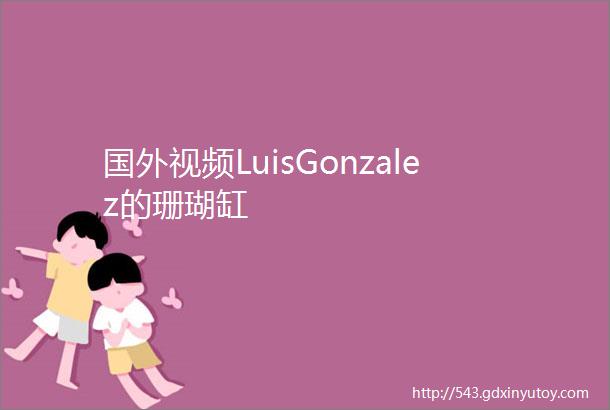 国外视频LuisGonzalez的珊瑚缸