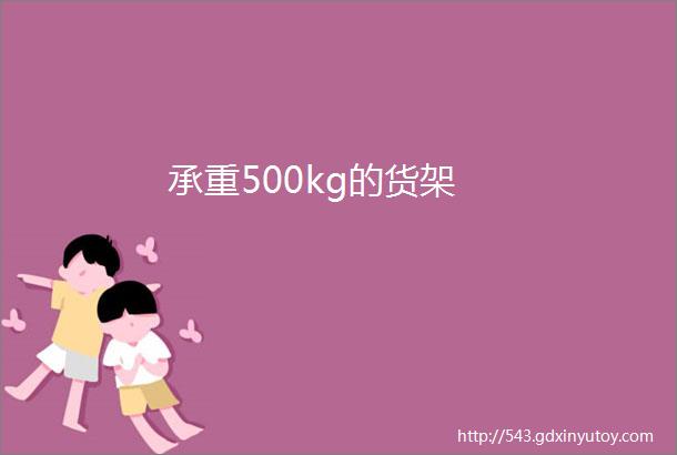 承重500kg的货架