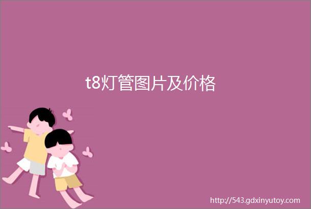 t8灯管图片及价格