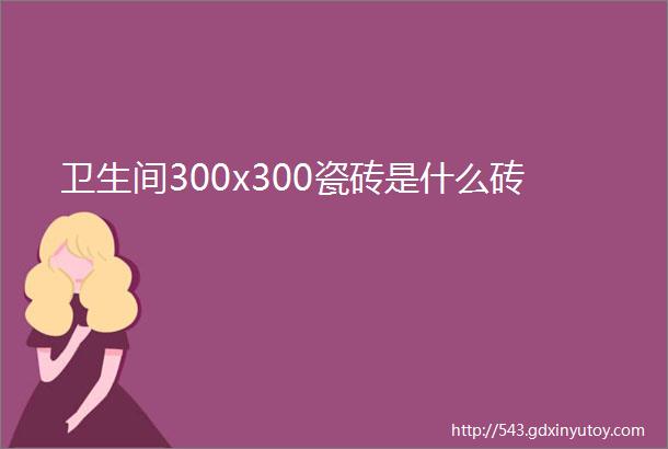 卫生间300x300瓷砖是什么砖