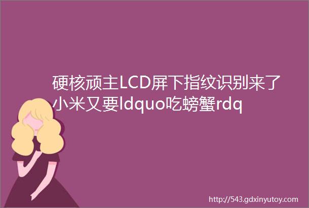 硬核顽主LCD屏下指纹识别来了小米又要ldquo吃螃蟹rdquo