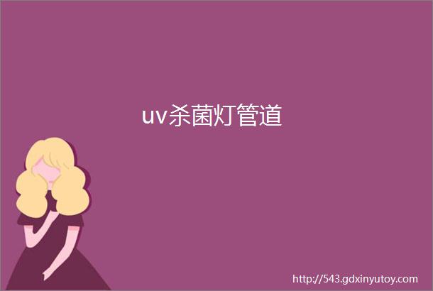 uv杀菌灯管道