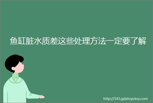 鱼缸脏水质差这些处理方法一定要了解