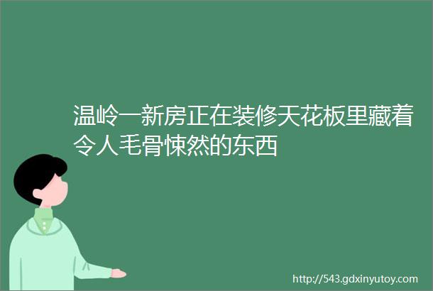 温岭一新房正在装修天花板里藏着令人毛骨悚然的东西