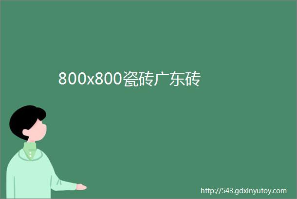 800x800瓷砖广东砖