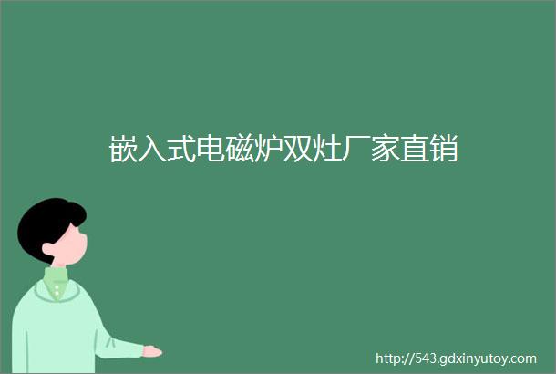 嵌入式电磁炉双灶厂家直销