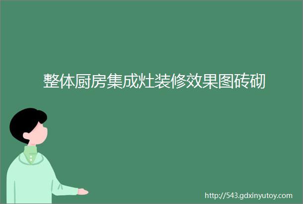 整体厨房集成灶装修效果图砖砌