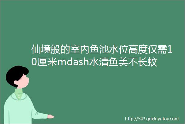 仙境般的室内鱼池水位高度仅需10厘米mdash水清鱼美不长蚊子