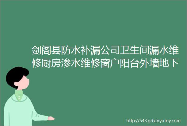 剑阁县防水补漏公司卫生间漏水维修厨房渗水维修窗户阳台外墙地下室专业防水补漏施工