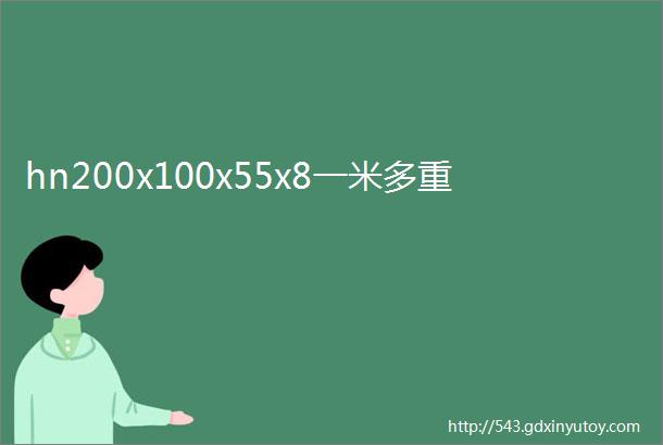 hn200x100x55x8一米多重