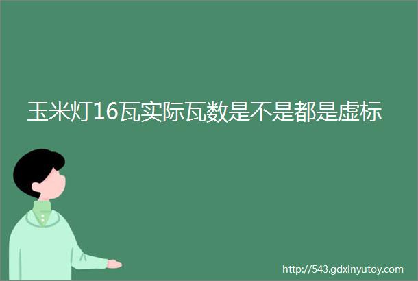 玉米灯16瓦实际瓦数是不是都是虚标