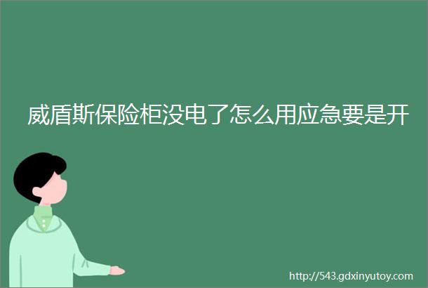 威盾斯保险柜没电了怎么用应急要是开