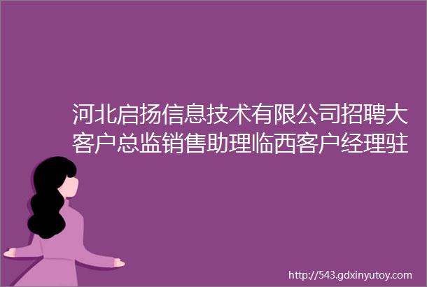 河北启扬信息技术有限公司招聘大客户总监销售助理临西客户经理驻场技术运维代记账财务主管