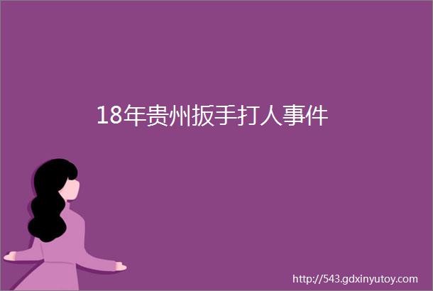 18年贵州扳手打人事件