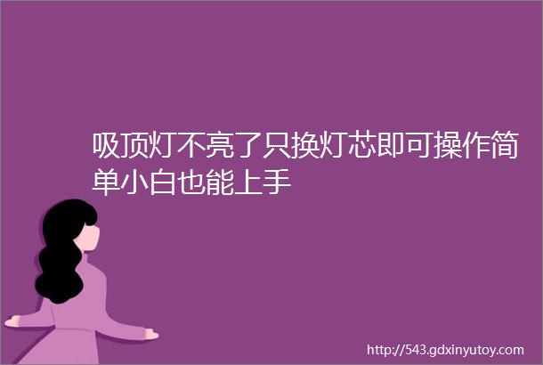 吸顶灯不亮了只换灯芯即可操作简单小白也能上手