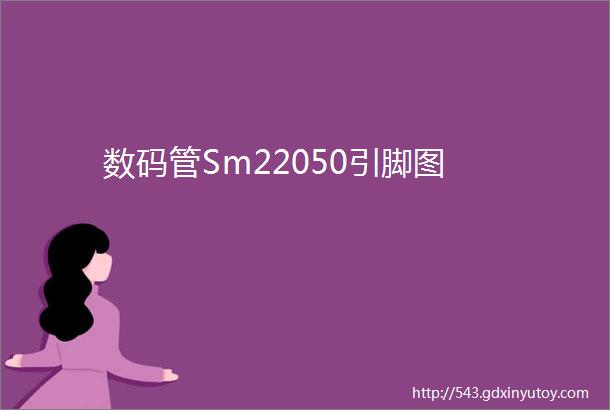 数码管Sm22050引脚图