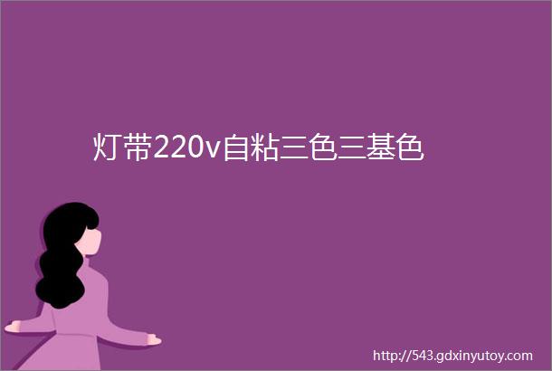 灯带220v自粘三色三基色