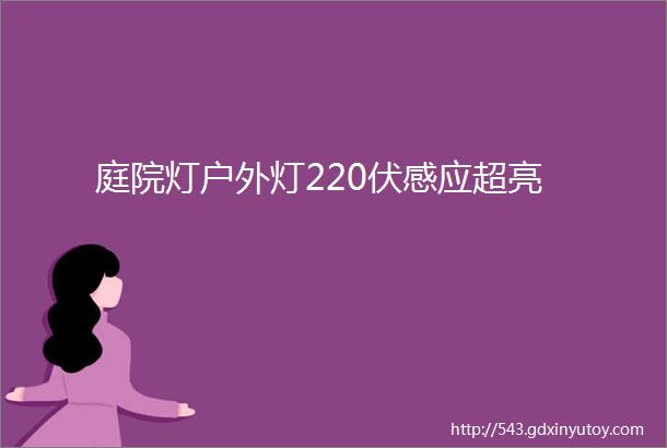 庭院灯户外灯220伏感应超亮