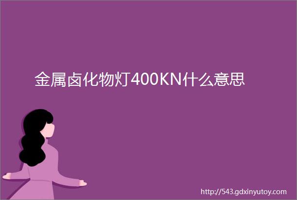 金属卤化物灯400KN什么意思