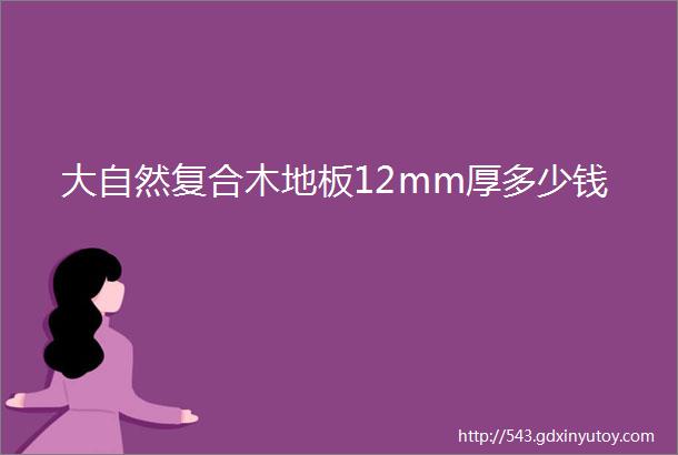 大自然复合木地板12mm厚多少钱