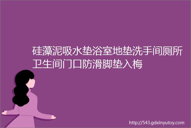 硅藻泥吸水垫浴室地垫洗手间厕所卫生间门口防滑脚垫入梅