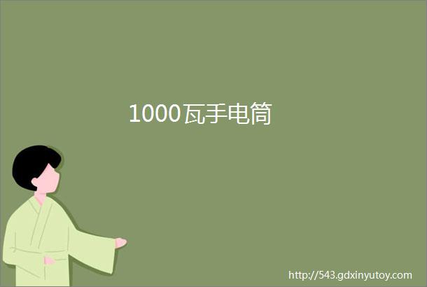 1000瓦手电筒