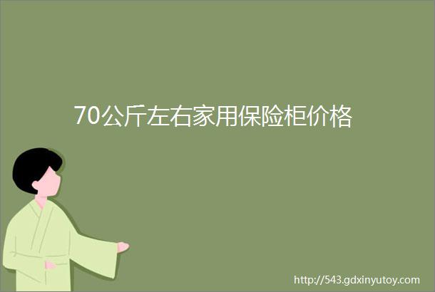 70公斤左右家用保险柜价格