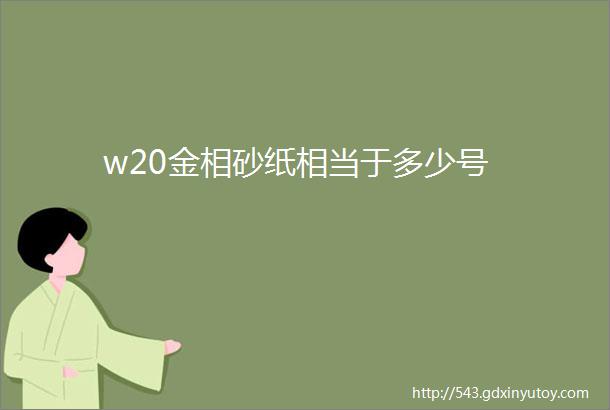 w20金相砂纸相当于多少号