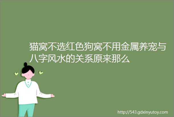 猫窝不选红色狗窝不用金属养宠与八字风水的关系原来那么