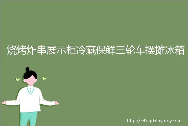 烧烤炸串展示柜冷藏保鲜三轮车摆摊冰箱