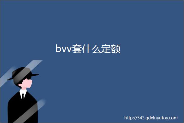 bvv套什么定额