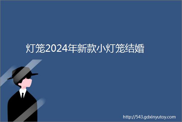 灯笼2024年新款小灯笼结婚