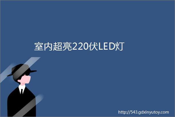 室内超亮220伏LED灯