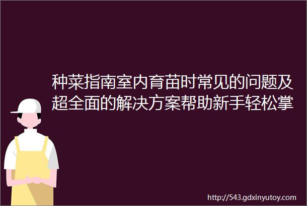 种菜指南室内育苗时常见的问题及超全面的解决方案帮助新手轻松掌握育苗技巧