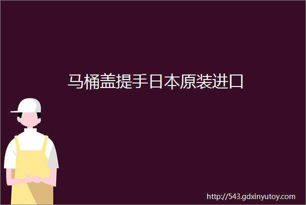 马桶盖提手日本原装进口