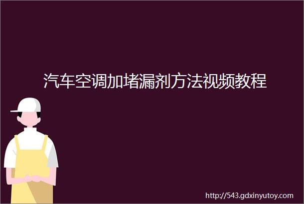 汽车空调加堵漏剂方法视频教程