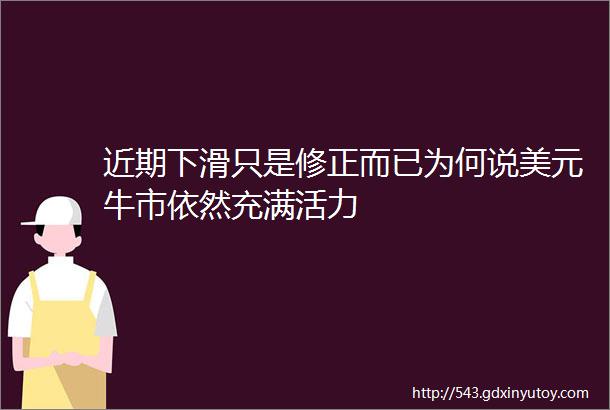 近期下滑只是修正而已为何说美元牛市依然充满活力