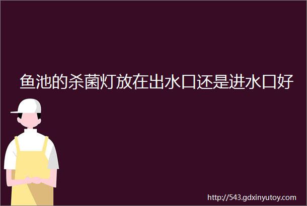 鱼池的杀菌灯放在出水口还是进水口好