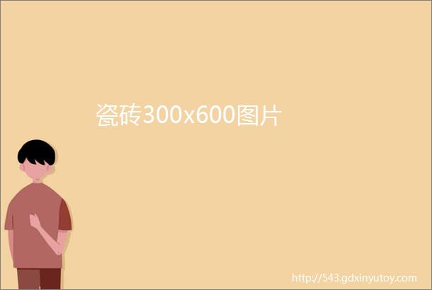 瓷砖300x600图片