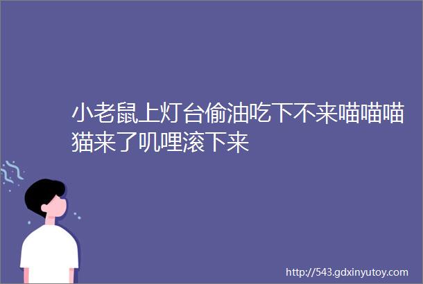 小老鼠上灯台偷油吃下不来喵喵喵猫来了叽哩滚下来