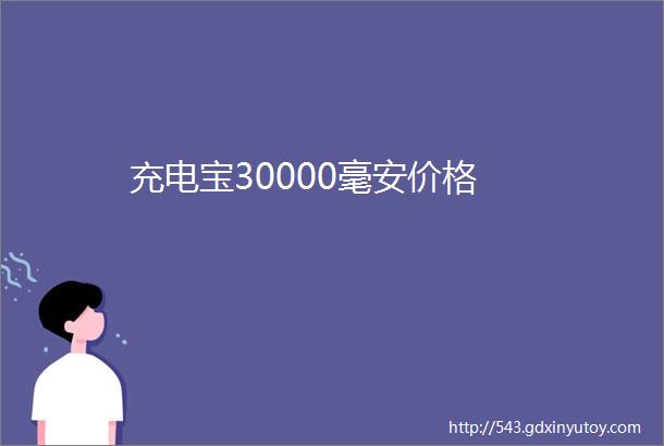 充电宝30000毫安价格