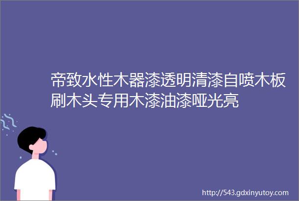 帝致水性木器漆透明清漆自喷木板刷木头专用木漆油漆哑光亮