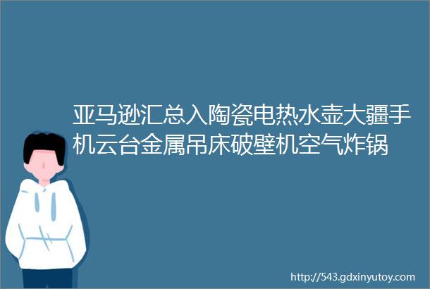 亚马逊汇总入陶瓷电热水壶大疆手机云台金属吊床破壁机空气炸锅