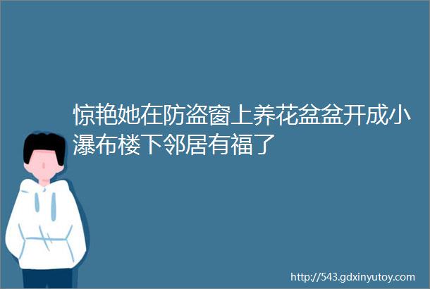 惊艳她在防盗窗上养花盆盆开成小瀑布楼下邻居有福了